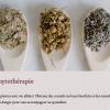 Pour résoudre les maux du quotidien (migraine, stress, sommeil...) ou dysfonctionnements (troubles digestifs, peau, diabète, allergie...)