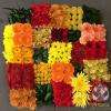 Coussin Floral Cynara Fleuriste Laxou