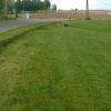 Aménagement jardin, entretien jardin, paysagiste 47,  Lot et Garonne
