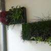 Décoration balcon, cadre vegetal