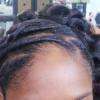 chignon
