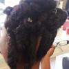 chignon