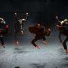 Photo du spectacle 2014
