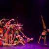 Photo du spectacle 2014

