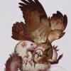 Projet tatouage par Datcha tattoo sur Gap