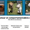 Decript'dog – Educateur et comportementaliste canin à Merville et ses alentours