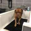 Lavage en libre service