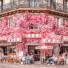 Décoration florale de façade La Favorite
