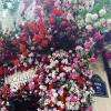 Fleuriste spécialisé dans les décorations de façade de boutique 