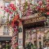 Grand choix de fleurs fraîches 