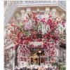 Les roses blanches d’une qualité exceptionnelle toujours sur le trottoir.