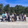 Éducateur et comportementaliste canin au Plan d’Orgon entre Avignon (84) et Salon-de-Provence (13)