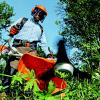 Toute une gamme d'articles pour le jardinage et le bricolage.
