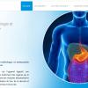 Le Docteur Juan Amaris est gastro-entérologue et endoscopiste exerçant en établissement privé à Paris.

La spécialité du Docteur Amaris est l’appareil digestif, son fonctionnement, ses pathologies et le traitement des organes qui le constituent. Il est notamment spécialiste des maladies hépatobiliaires et bilio pancréatiques à savoir les maladies du foie, de la vésicule et des voies biliaires, les maladies du pancréas et de la rate.