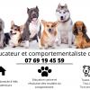 Dog Academia Cévennes – Educateur et comportementaliste canin à Alès et ses alentours 