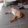 sieste sur la terrasse