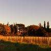 Domaine de la Conseillère
