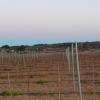 Nos plantations