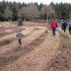 Le labyrinthe