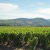 Avis aux campings cariste, vous souhaitez faire une pause pour la nuit n’hésitez pas à vous rendre au domaine nous vous accueillons avec plaisir avec vue magnifique sur les monts du beaujolais