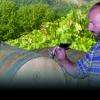 Domaine du bois de Simon - Domaine viticole Aquitaine