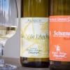 Domaine Laurence et Philippe Greiner Cuvée de l'Archer Schoenenbourg Degustation Vins biologique vin d'Alsace 