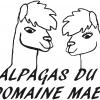 Logo DOMAINE MAEL