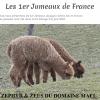 Retrouvez les 1er Jumeaux de France au DOMAINE MAEL