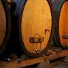 Elevage de nos vin en fûts de chêne