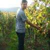 Vincent Stoeffler dans les vignes