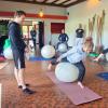 Formation en Postural Ball