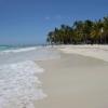 Plage de sable Blanc à l'île de Saona en République Dominicaine