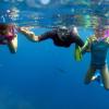 Snorkeling à l'île de catalina