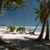 Île de Saona, République Dominicaine