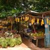 Marché local, République Dominicaine