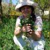 Véronique au milieu de plantes