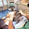 Pose de fils tenseurs permanents par le Dr Foumentèze, expert de la technique de lifting visage sans chirurgie Infinite-Thread®. Intervention réalisée en ambulatoire : sous simple anesthésie locale et sans chirurgie ni cicatrice.
