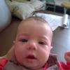 coline