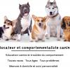 Educ’n Fun - Educateur et comportementaliste canine - La Roche-sur-Yon - Challans
