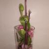 fleuriste