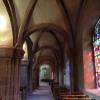 Le transept