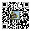 QR ELAGAGE 91