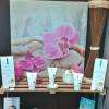 Vente produits Clairjoie