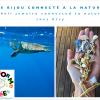 Le bijou coquillage connecté à la nature
