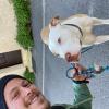 Enjoy Dog - Éducateur et comportementaliste canin - Aix en Provence et ses alentours