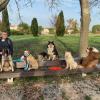 Enjoy Dog - Éducateur et comportementaliste canin - Aix en Provence et ses alentours
