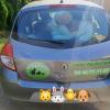 Pet sitter