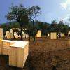 ES paintball park