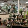 Vue extérieure de la boutique de fleurs rue St Malo à Rennes : plantes et fleurs de saisons !