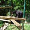 ours